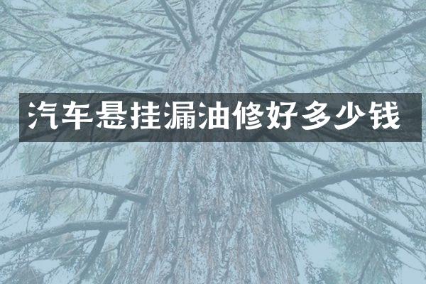 汽车悬挂漏油修好多少钱