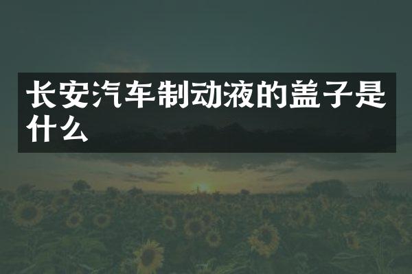 长安汽车制动液的盖子是什么
