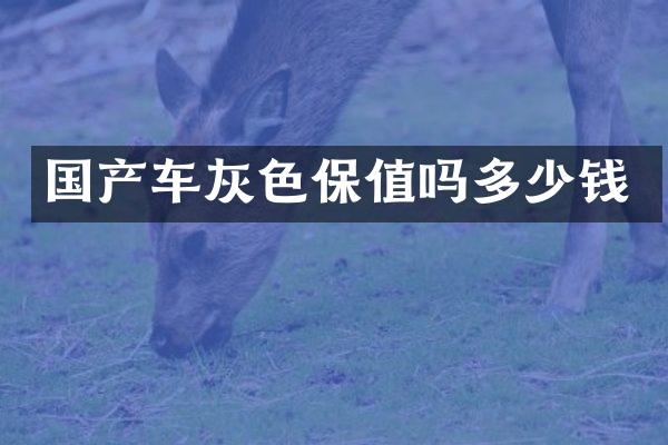 国产车灰色保值吗多少钱
