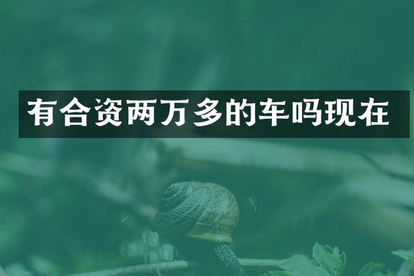 有合资两万多的车吗现在