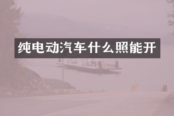 纯电动汽车什么照能开