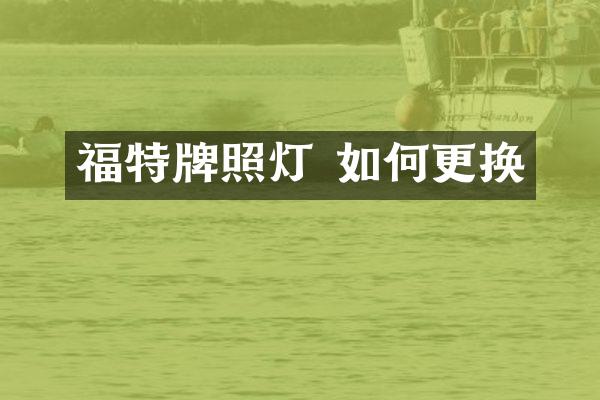 福特牌照灯 如何更换