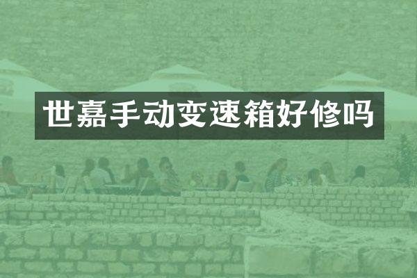 世嘉手动变速箱好修吗