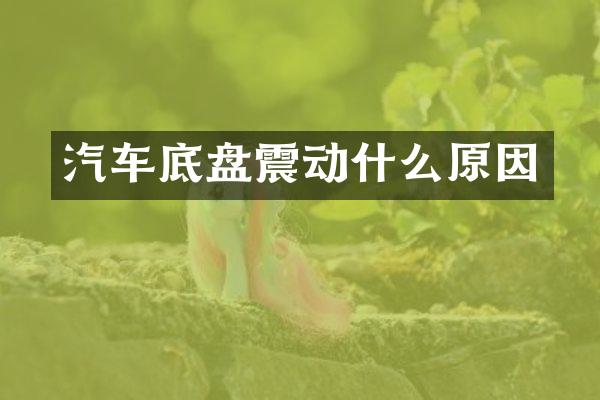 汽车底盘震动什么原因