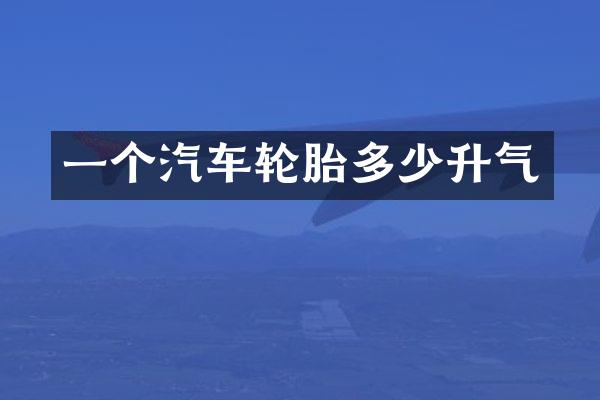 一个汽车轮胎多少升气