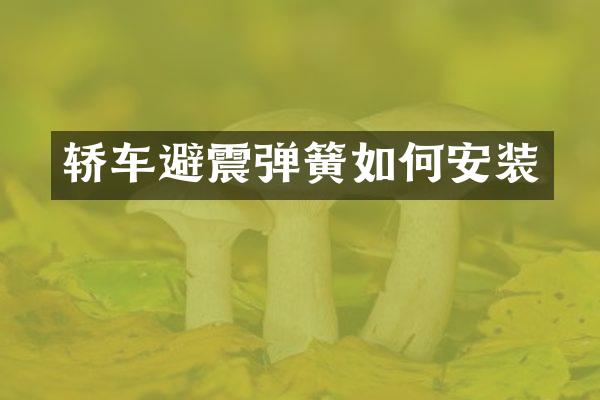 轿车避震弹簧如何安装