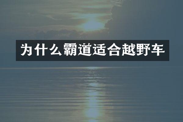 为什么霸道适合越野车