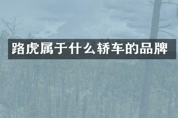 路虎属于什么轿车的品牌