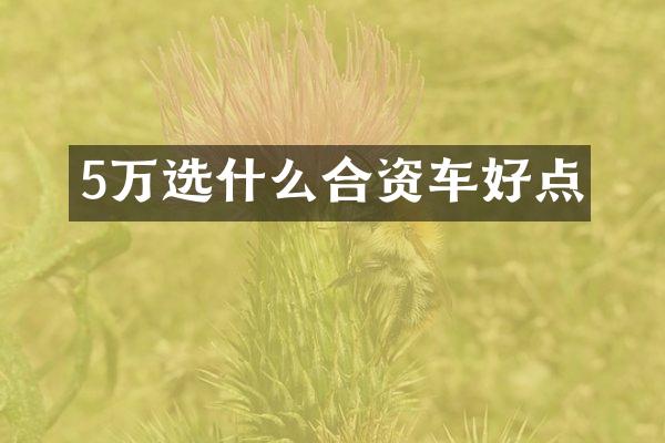 5万选什么合资车好点