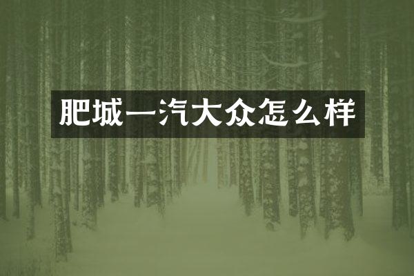 肥城一汽大众怎么样