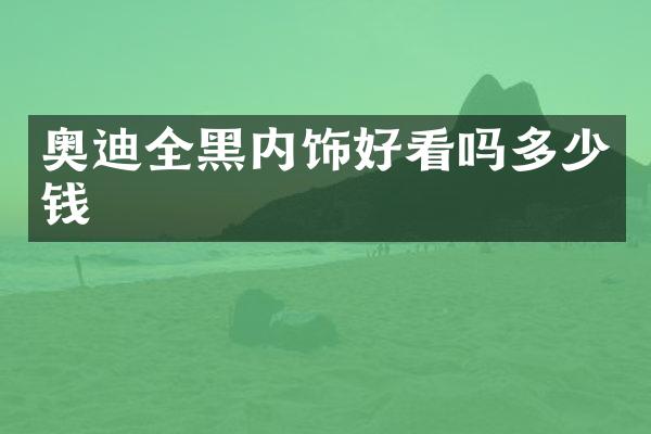 奥迪全黑内饰好看吗多少钱