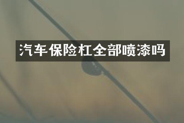 汽车保险杠全部喷漆吗
