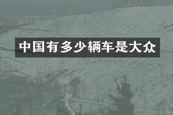 中国有多少辆车是大众