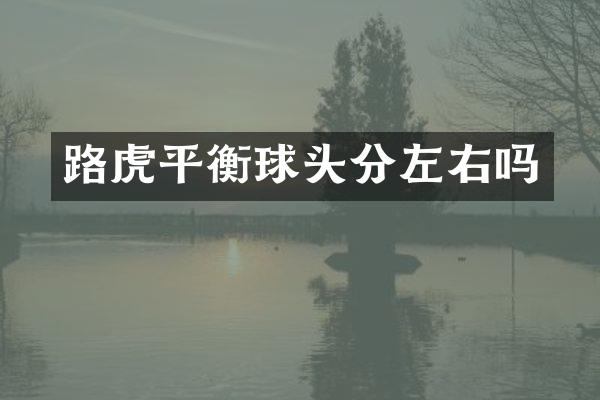 路虎平衡球头分左右吗