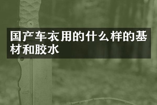 国产车衣用的什么样的基材和胶水