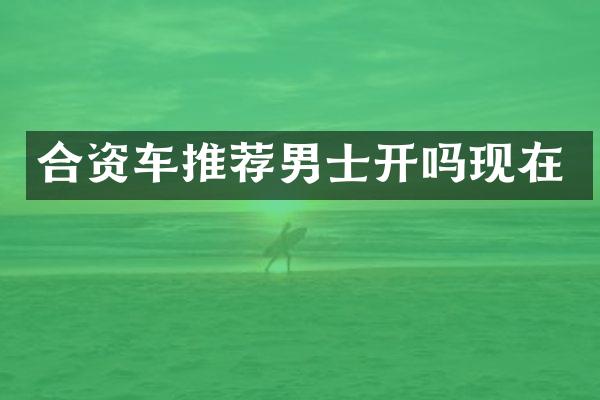 合资车推荐男士开吗现在