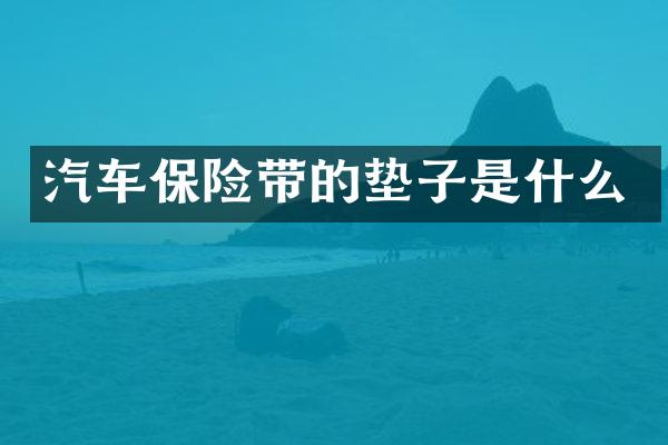 汽车保险带的垫子是什么