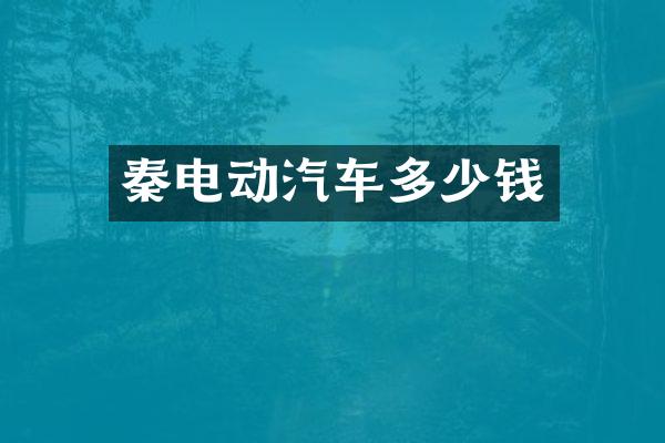 秦电动汽车多少钱