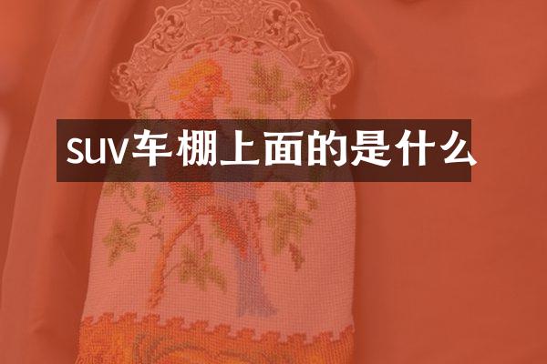 suv车棚上面的是什么
