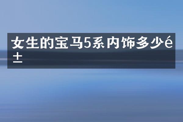 女生的宝马5系内饰多少钱