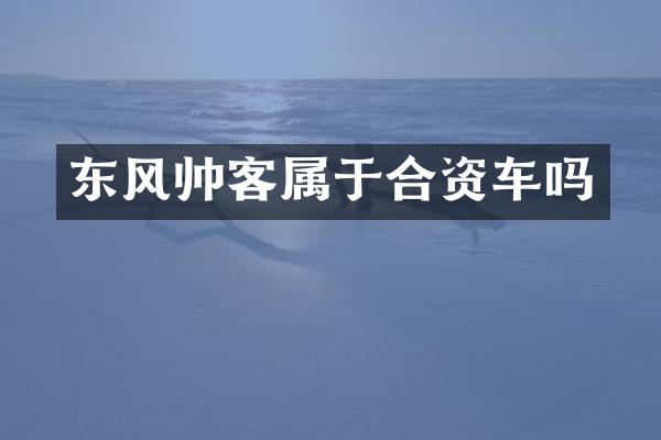 东风帅客属于合资车吗