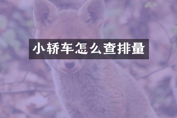 小轿车怎么查排量
