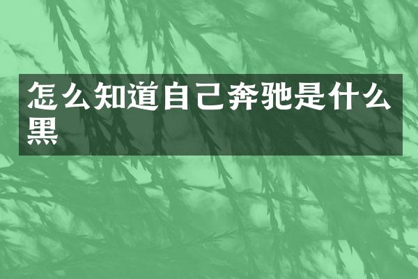 怎么知道自己奔驰是什么黑