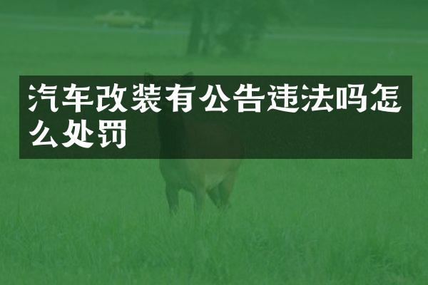 汽车改装有公告违法吗怎么处罚
