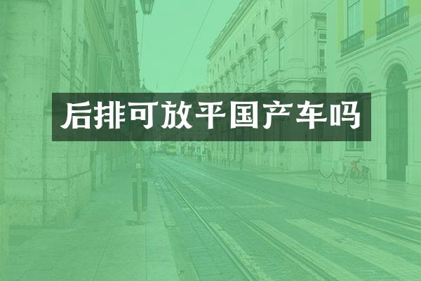 后排可放平国产车吗