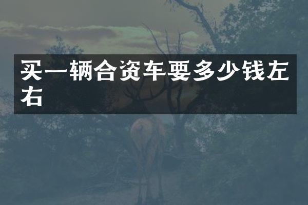 买一辆合资车要多少钱左右