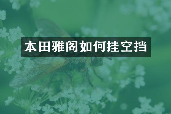 本田雅阁如何挂空挡
