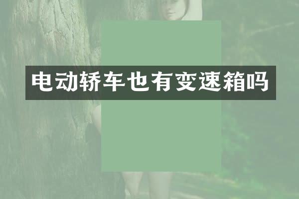 电动轿车也有变速箱吗