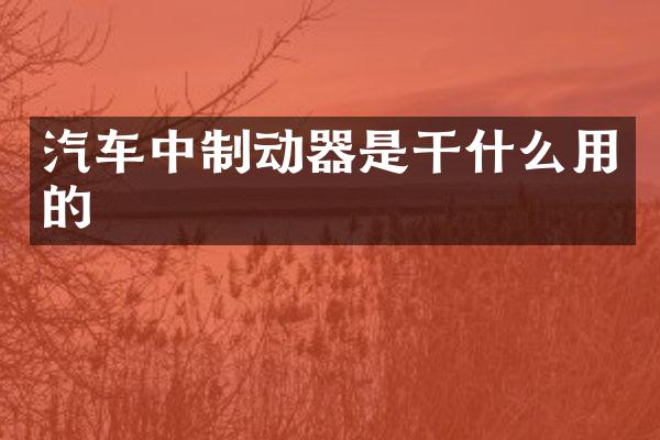 汽车中制动器是干什么用的