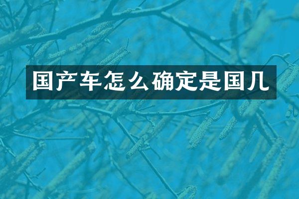国产车怎么确定是国几