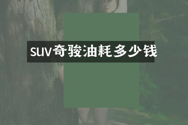 suv奇骏油耗多少钱