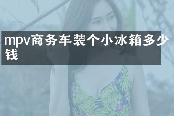 mpv商务车装个小冰箱多少钱
