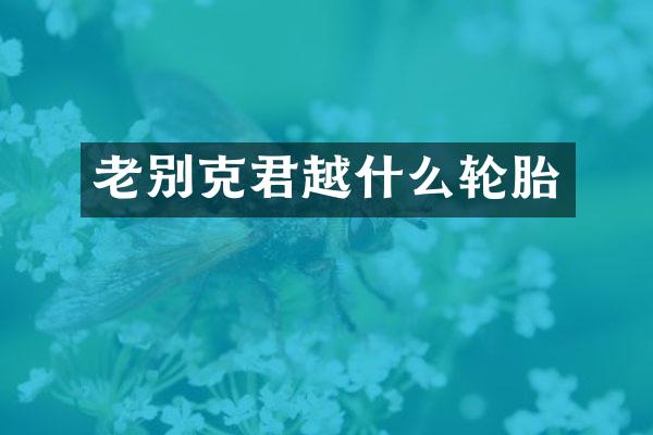 老别克君越什么轮胎