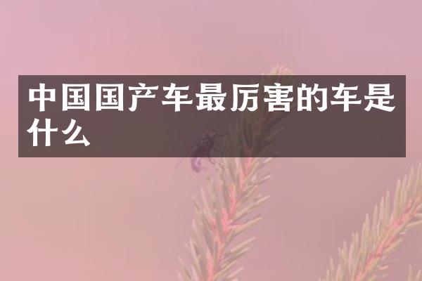 中国国产车最厉害的车是什么
