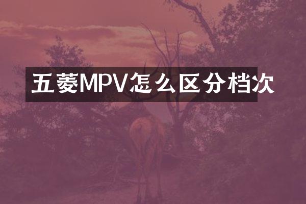 五菱MPV怎么区分档次