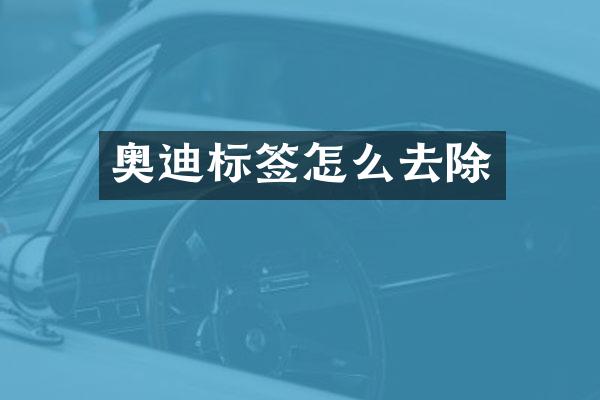 奥迪标签怎么去除