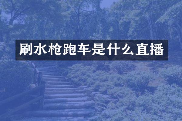 刷水枪跑车是什么直播