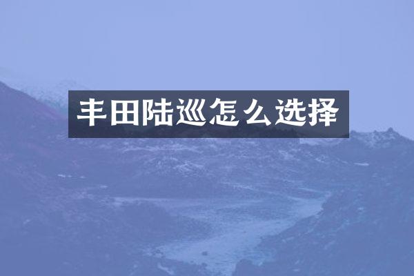 丰田陆巡怎么选择