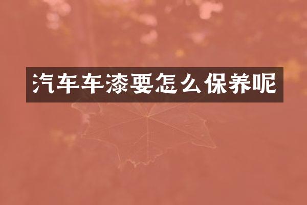 汽车车漆要怎么保养呢