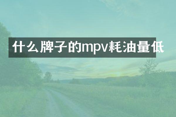 什么牌子的mpv耗油量低