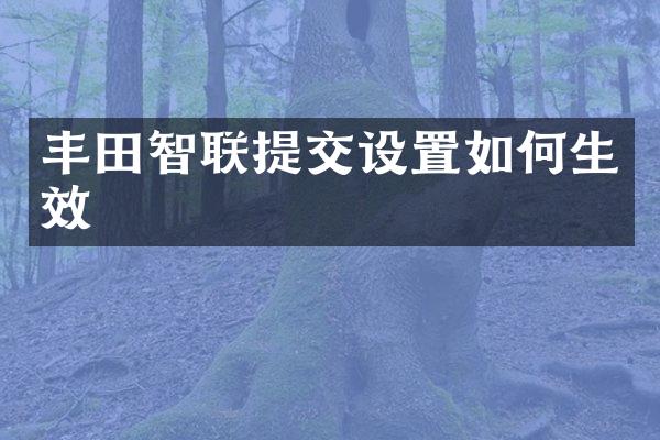 丰田智联提交设置如何生效
