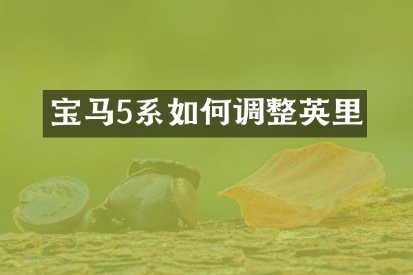 宝马5系如何调整英里