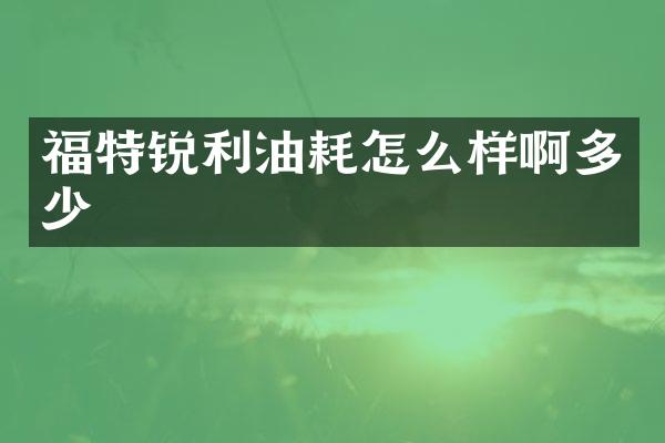 福特锐利油耗怎么样啊多少