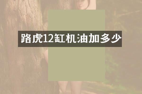 路虎12缸机油加多少
