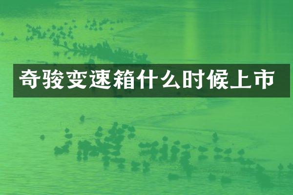 奇骏变速箱什么时候上市