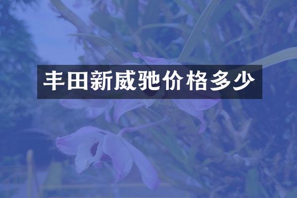 丰田新威驰价格多少